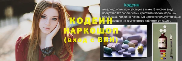дмт Вяземский