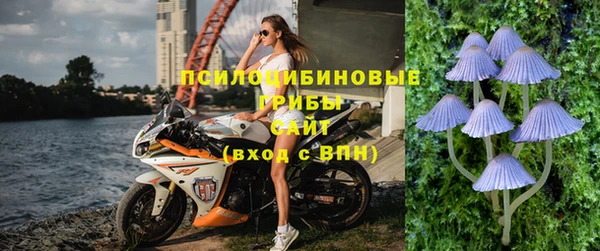 дмт Вяземский
