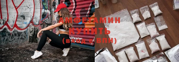дмт Вяземский