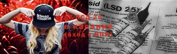 спайс Вязьма