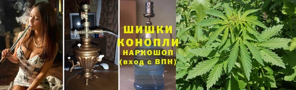 дмт Вяземский