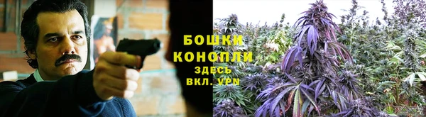 спайс Вязьма