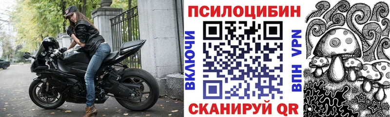 ссылка на мегу как зайти  купить  сайты  Муром  Псилоцибиновые грибы мицелий 