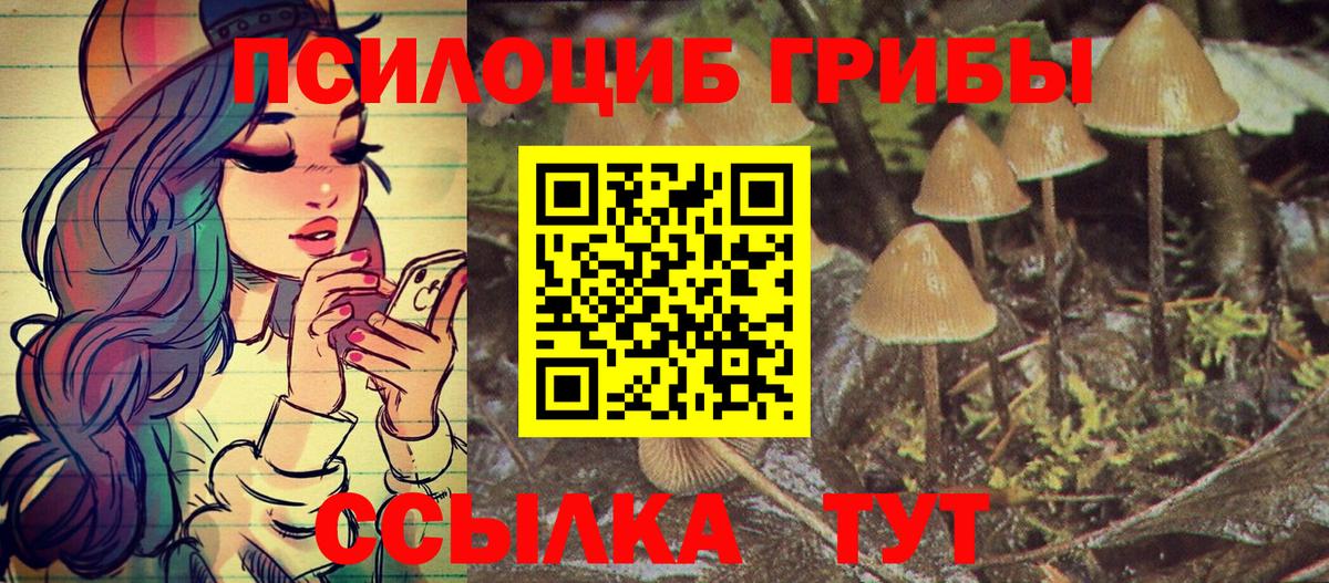 где можно купить   Псилоцибиновые грибы мицелий  Вход с VPN  Муром 
