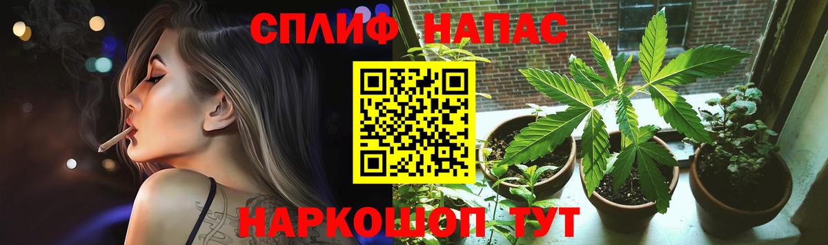 Марихуана ГИДРОПОН  Канабис гибрид  Марихуана THC 21%  Муром  Вход с VPN 
